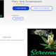 Illustration for article titled Hey Roku, Maybe User-Created Screensavers Are a Bad Idea
